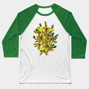 Forsythias - Forsythia with Leaves Baseball T-Shirt
